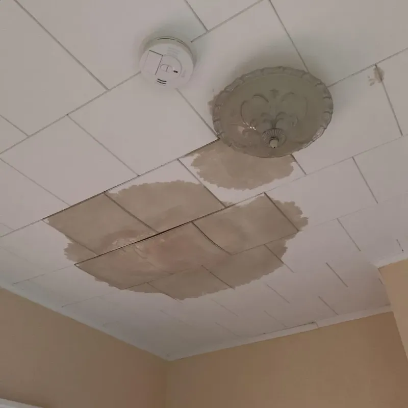 Ceiling Water Damage Repair in Harrisonburg, VA