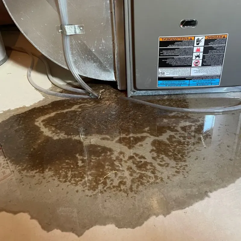 Pipe Burst and Leak Restoration in Harrisonburg, VA